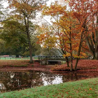 autumn