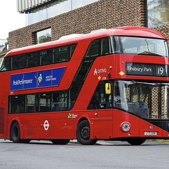 bus