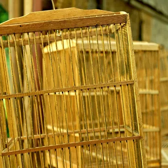 cage