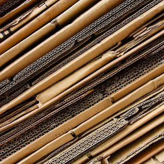 cardboard