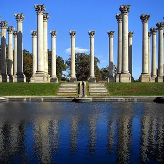 column