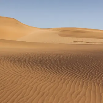 desert