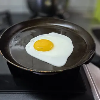 egg