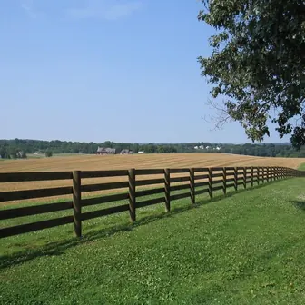 fence