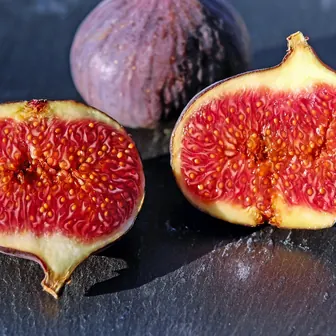 fig