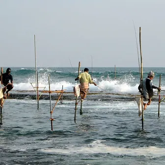 fishing