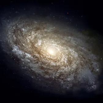 galaxy