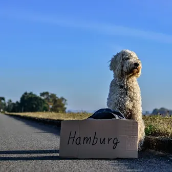 hitchhike