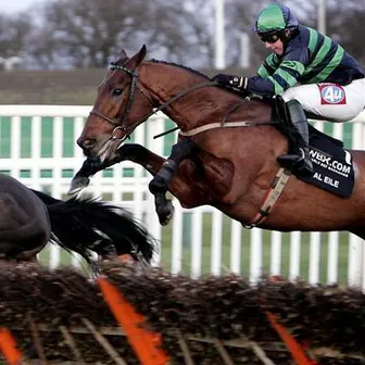 jockey