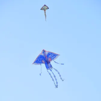 kite