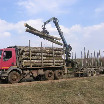 log