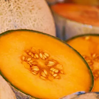melon