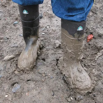 mud