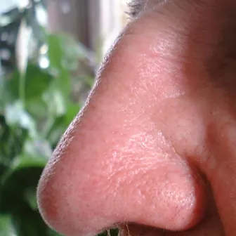 nose