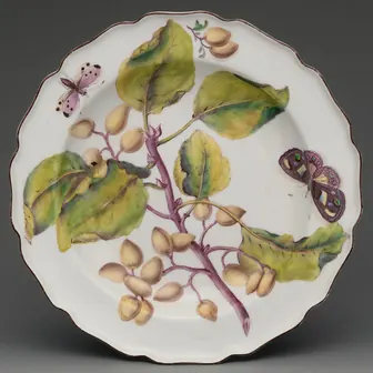 plate