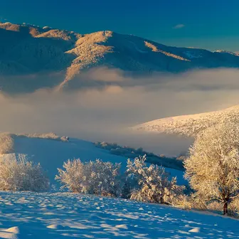 snow