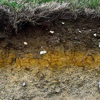 soil