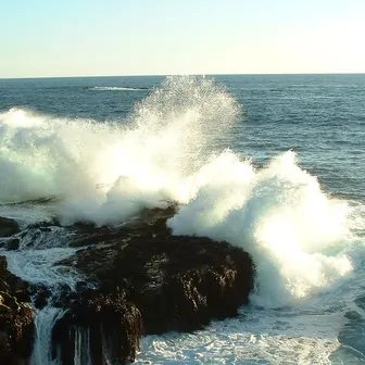 surf