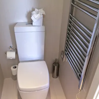 toilet