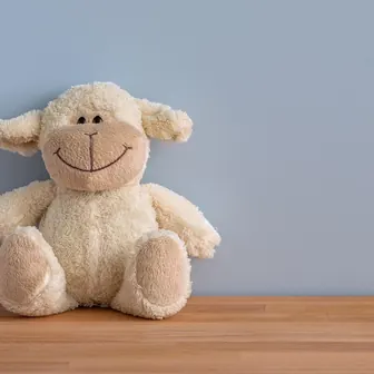 toy
