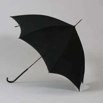 umbrella