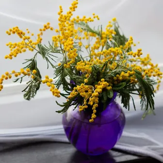 vase