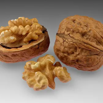 walnut