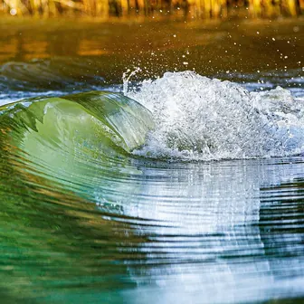 wave