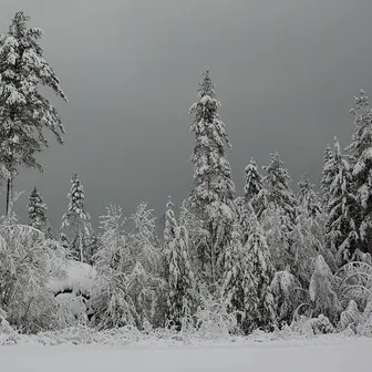 winter
